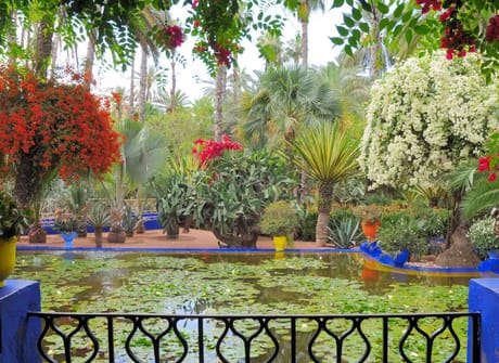 Imperial Cities & Sahara Discovery Tour from Marrakech