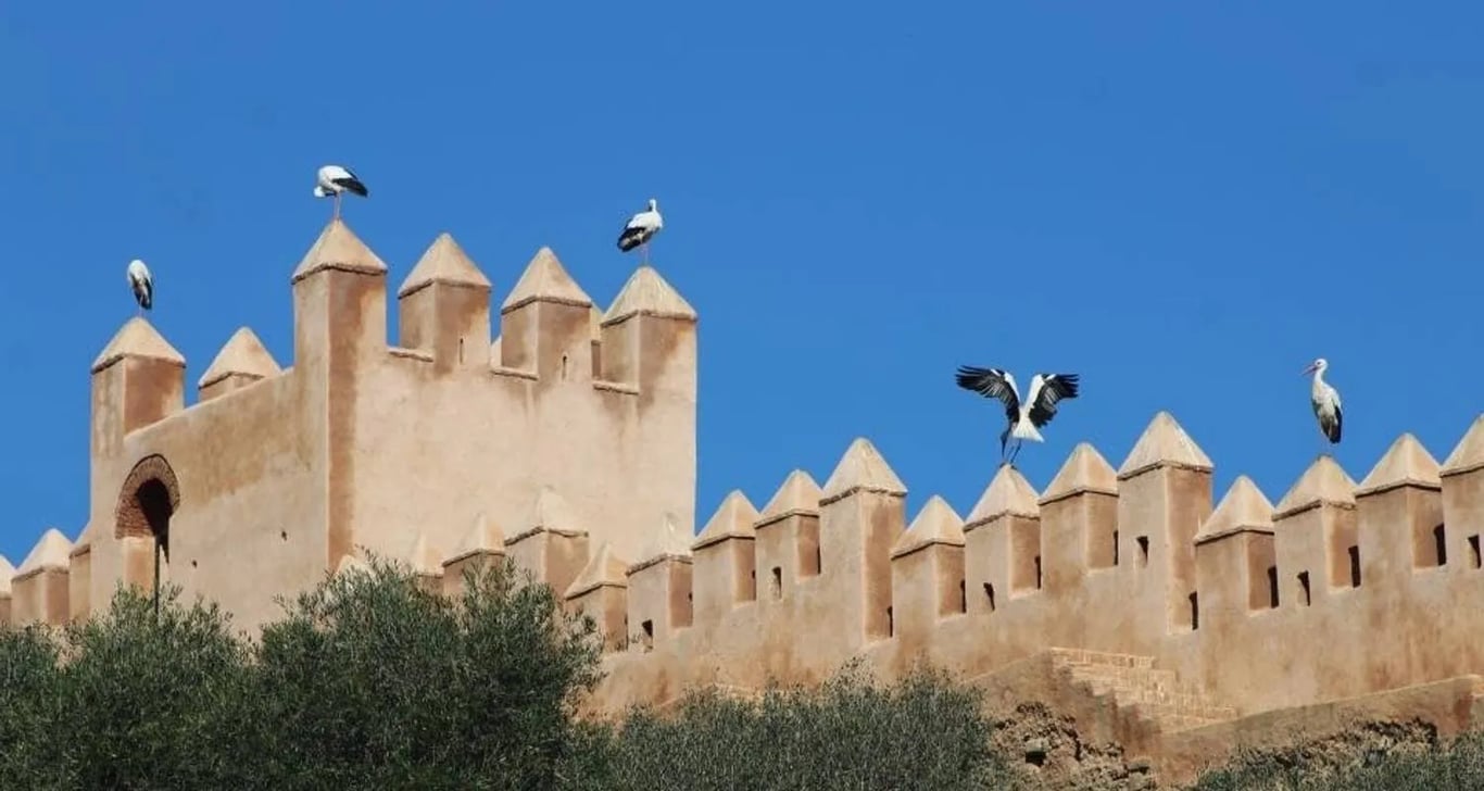 Morocco imperial cities tour from Casablanca