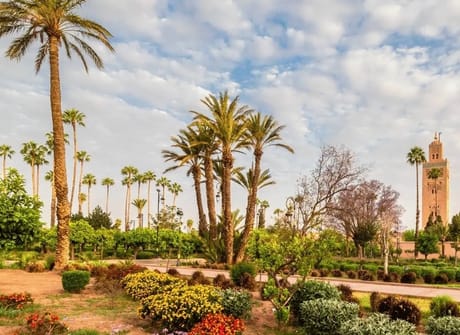11 Days Private Tour from Casablanca