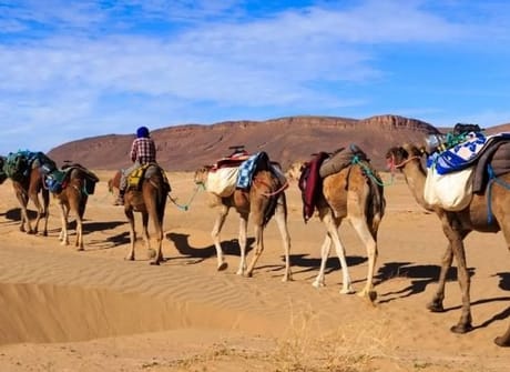 Best of Morocco – 13 days