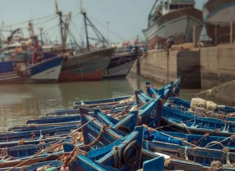 Morocco: Marrakech and the Coast