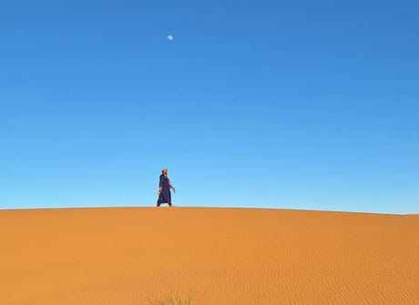 Moroccan Desert Adventure: River Canyons & Camels