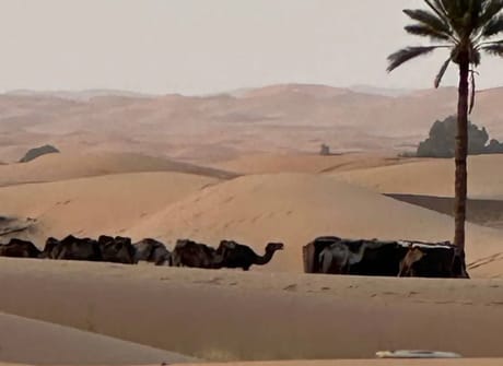 Marrakech Express 6 Days Tour from Tangier