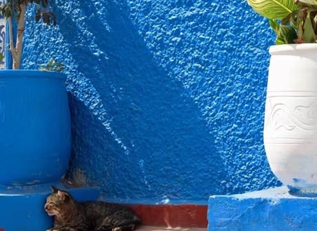 15-Day Morocco “Private” tour from Casablanca – Highlights of Morocco