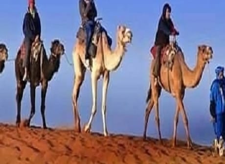 Private 9-Day Morocco Tour: Casablanca to Tangier, Exploring Essaouira, Marrakech, Desert, Fes, and Chefchaouen