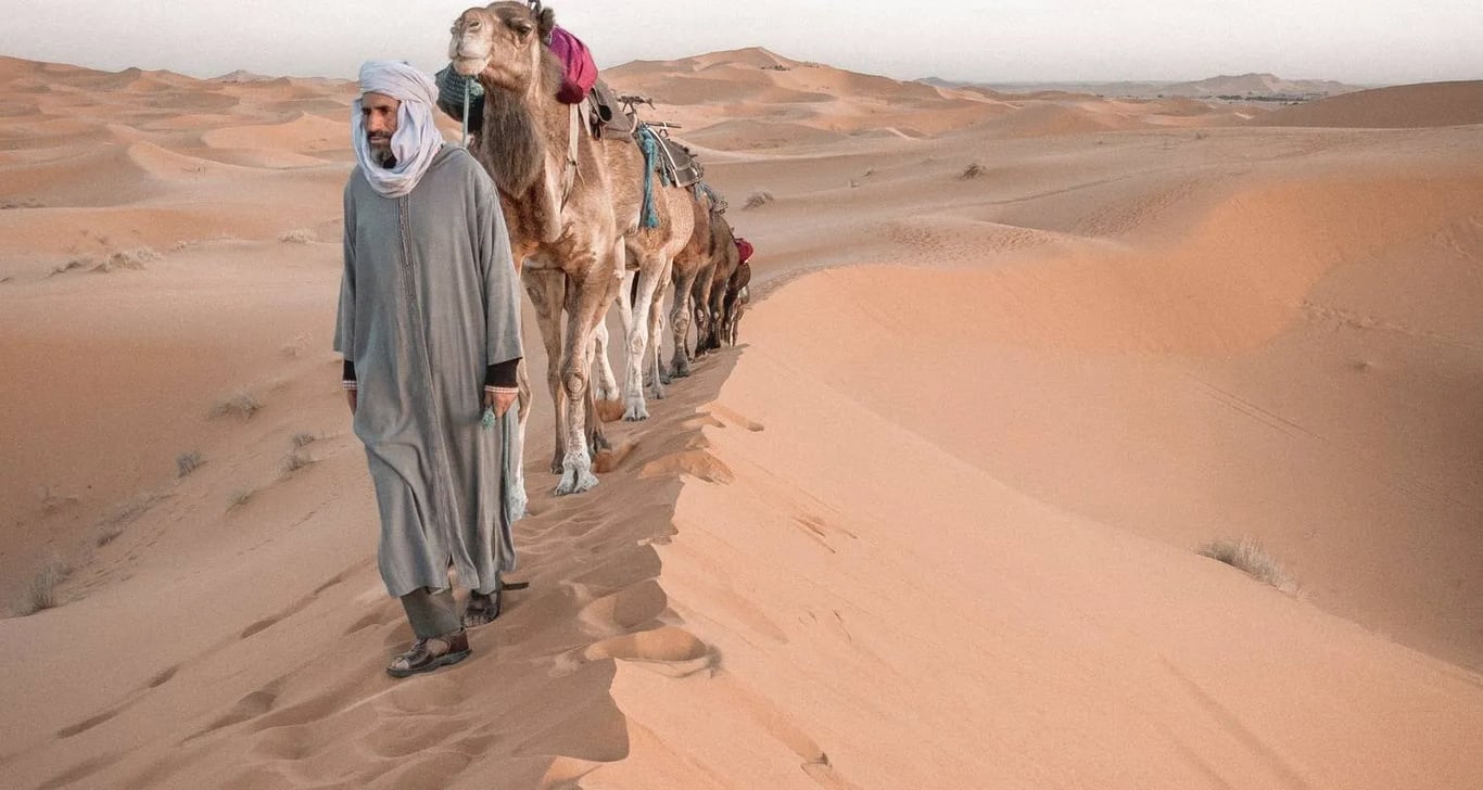 7 Days Imperial Cities and Sahara Experience