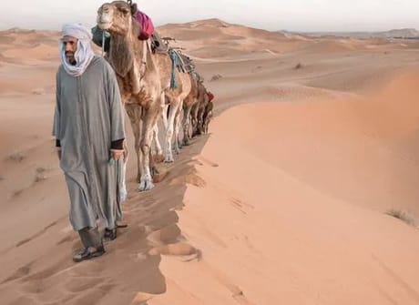 7 Days Imperial Cities and Sahara Experience