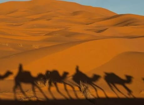 7 Days Sahara Desert Tour from Marrakech