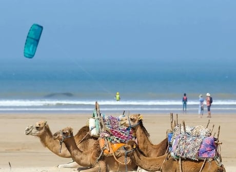 Moroccan Sun, Sand & Souks: Luxury Tour of Coastal Towns & Marrakesh