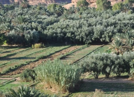 Magic of Morocco Luxury Tour