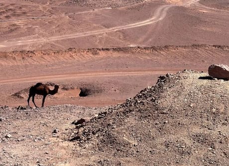 4 Days Desert Tour from Fes to Marrakech