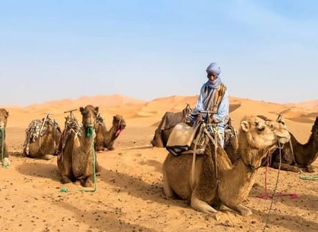 Morocco Grand Tour: Discovering Cities, Deserts, and the Coastal Beauty