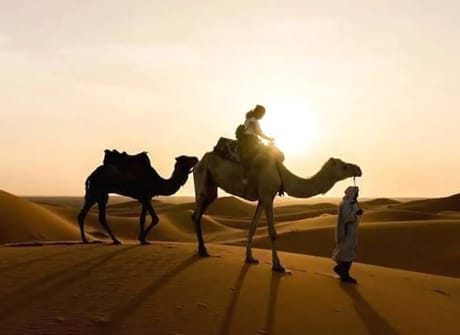 6-Day Private Morocco Tour: Casablanca to Marrakech, Exploring Chefchaouen, Fes, & Sahara