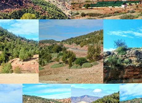 Best of Morocco Discovery Tour from Casablanca
