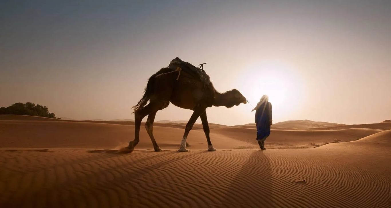 Southern Morocco Nature & Culture – 10 Days