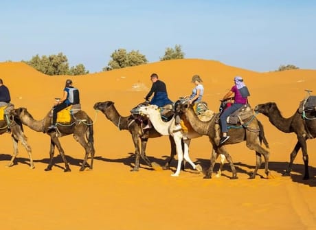 10 Days Private Tour from Casablanca