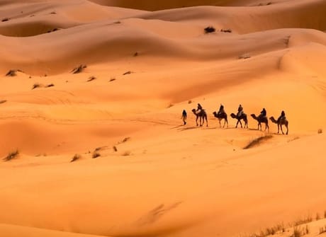 6-Days Private Tour: Marrakech, Essaouira, & Desert trip to Fes