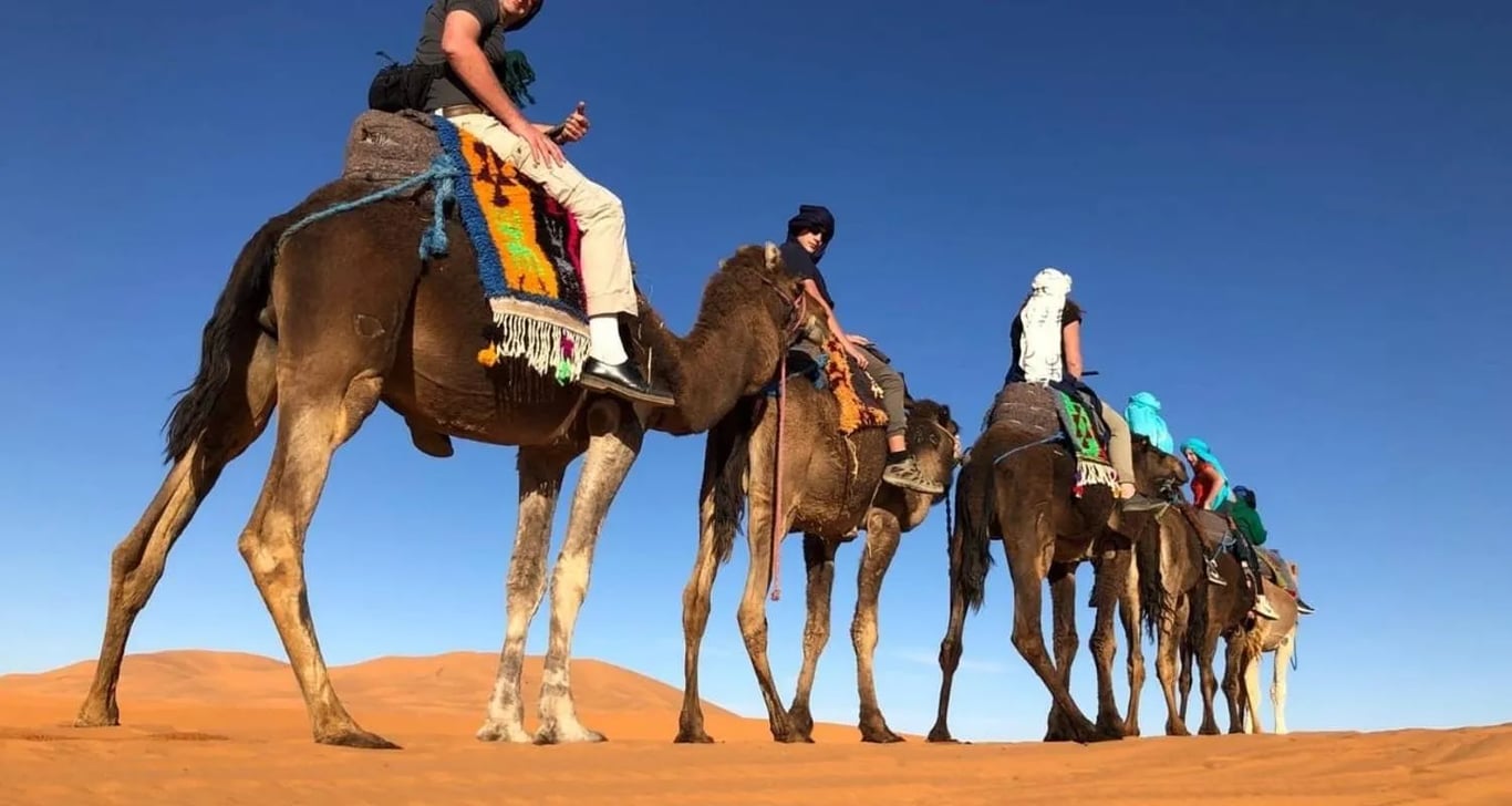 10 day Morocco Tour from Casablanca: Imperial Cities, Atlas Mountains & Sahara Desert Experience