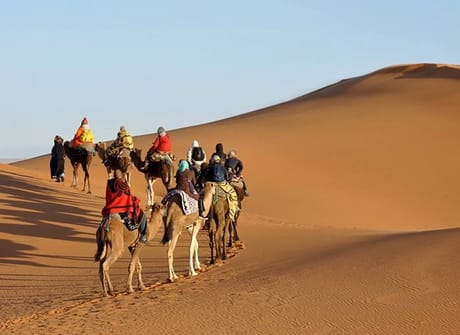 Highlights of Morocco