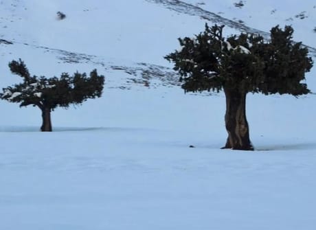 10 Days Morocco Cultural tour from Marrakech