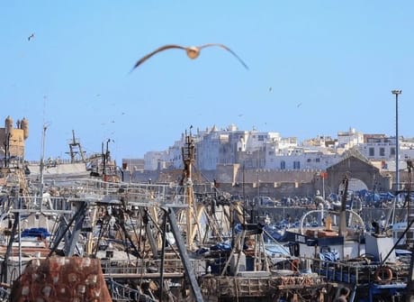 From Agadir: 7 Day Private Tour via Essaouira, Marrakech & The Sahara Desert