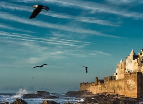 14 Day Private Tour From Casablanca