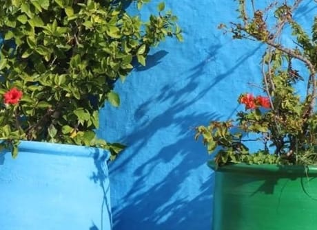 4 Days from Marrakech to Fes via Essaouira / Chefchaouen