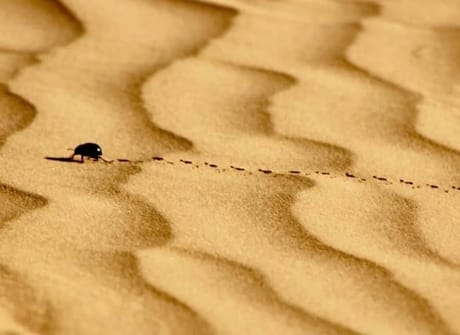 10 Days Morocco Cultural tour from Marrakech