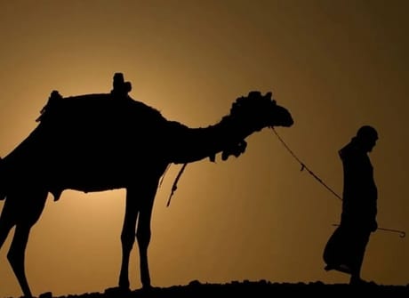 Cities, Mountains and Sahara Morocco Tour