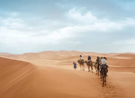 From Agadir: 7 Day Private Tour via Essaouira, Marrakech & The Sahara Desert