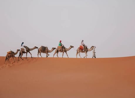 7 Days Morocco Sahara Desert Tour From Tangier to Marrakesh