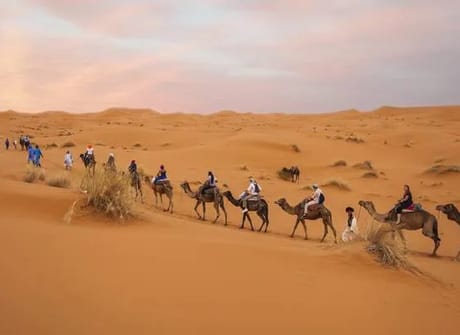 Moroccan Desert Adventure: River Canyons & Camels