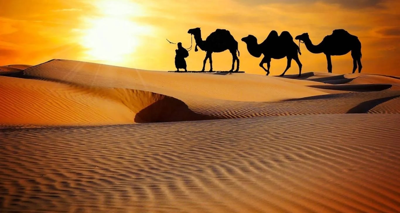 7 Days Private Tour from Agadir to Marrakech