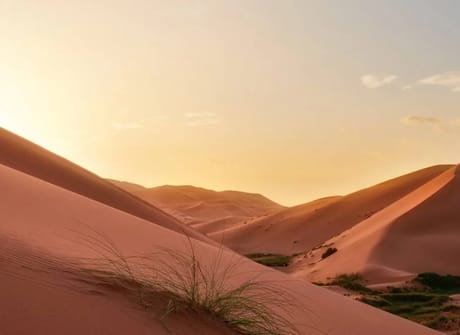 From Agadir: 7 Day Private Tour via Essaouira, Marrakech & The Sahara Desert