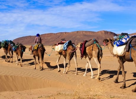 Best of Morocco – 13 days