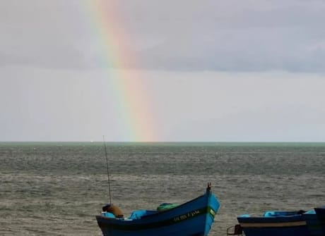 4 Days from Marrakech to Fes via Essaouira / Chefchaouen