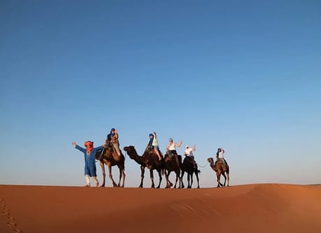Highlights of Morocco
