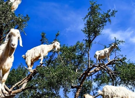 Morocco’s Hidden Gems