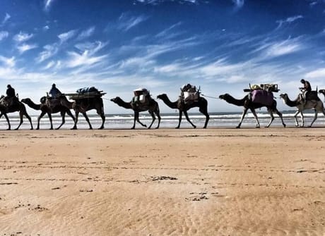Highlights of Morocco from Tangier to Casablanca (10 Days)