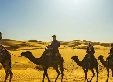 5 Days Private Tour from Casablanca to Marrakech Via Fes, Merzouga Desert & Ouarzazate
