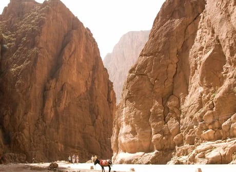 Imperial Cities & Sahara Discovery Tour from Marrakech