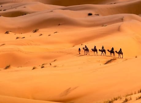 14 Days Tour from Tangier – Grand Morocco Tour