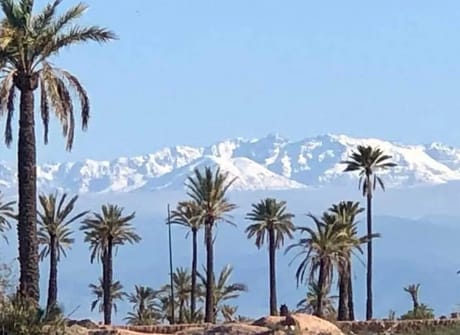 Morocco Tours – 5 Days tour Chefchaouen and Fes