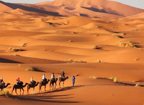 Morocco in 7 days. Private, Fully Guided and 4* Hotels