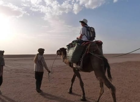 Trip from marrakech to sahara desert: Merzouga, Ait Benhadou, Dades & Todra gorges (3 days)