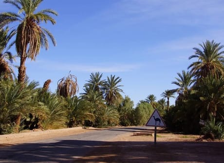 6-Day Private Morocco Tour: Casablanca to Marrakech, Exploring Chefchaouen, Fes, & Sahara