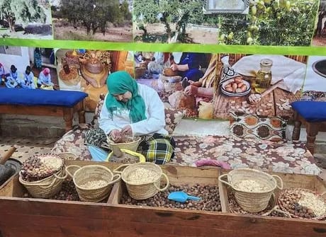 7 Days Morocco Tours From Tangier