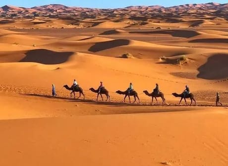 From Fez: 3-Day Desert Tour to Marrakech