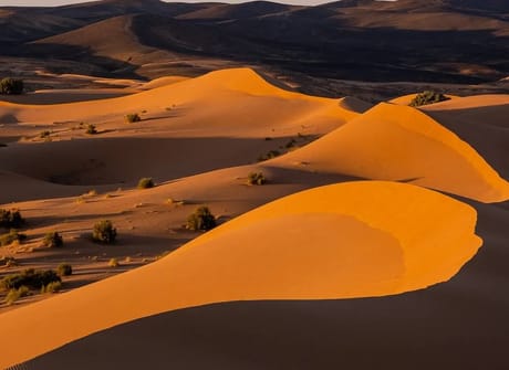 5 Days Caml Trekking From Marrakech