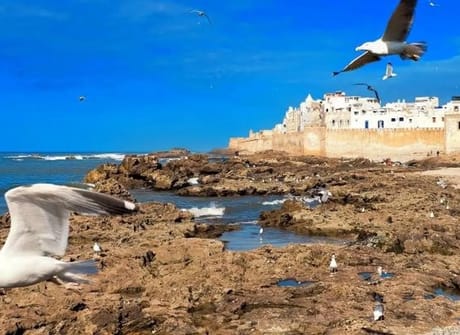 Best of Morocco – 13 days